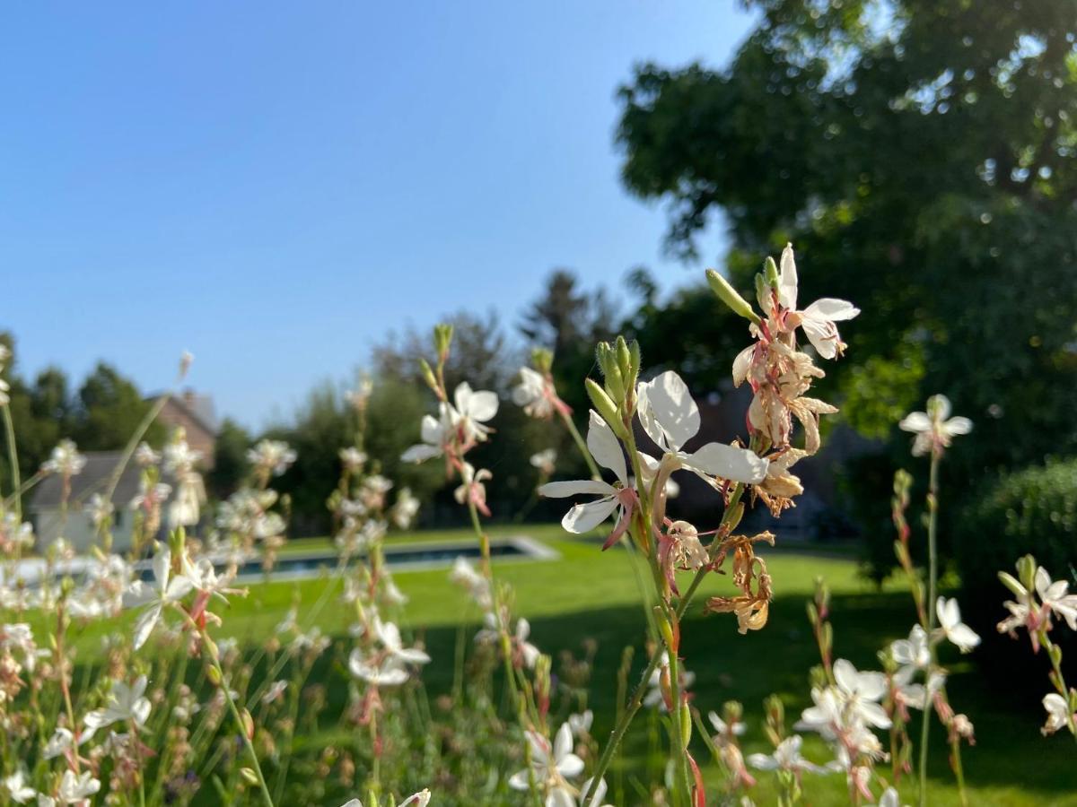 B&B Aline Florentine - Adults Only - Luxury B&B - Chambres D'Hotes - Zimmer Frei Kortenberg Luaran gambar