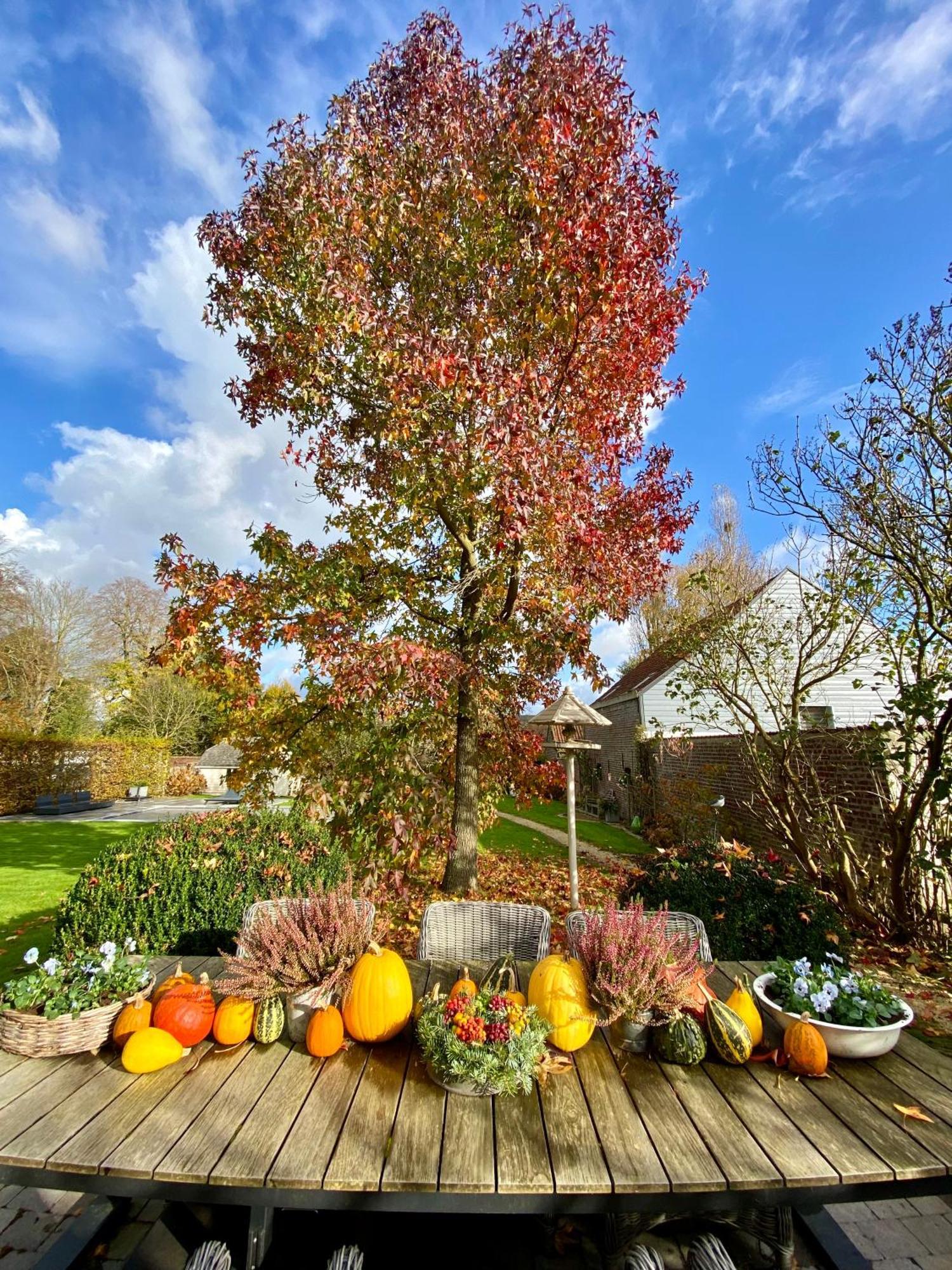 B&B Aline Florentine - Adults Only - Luxury B&B - Chambres D'Hotes - Zimmer Frei Kortenberg Luaran gambar