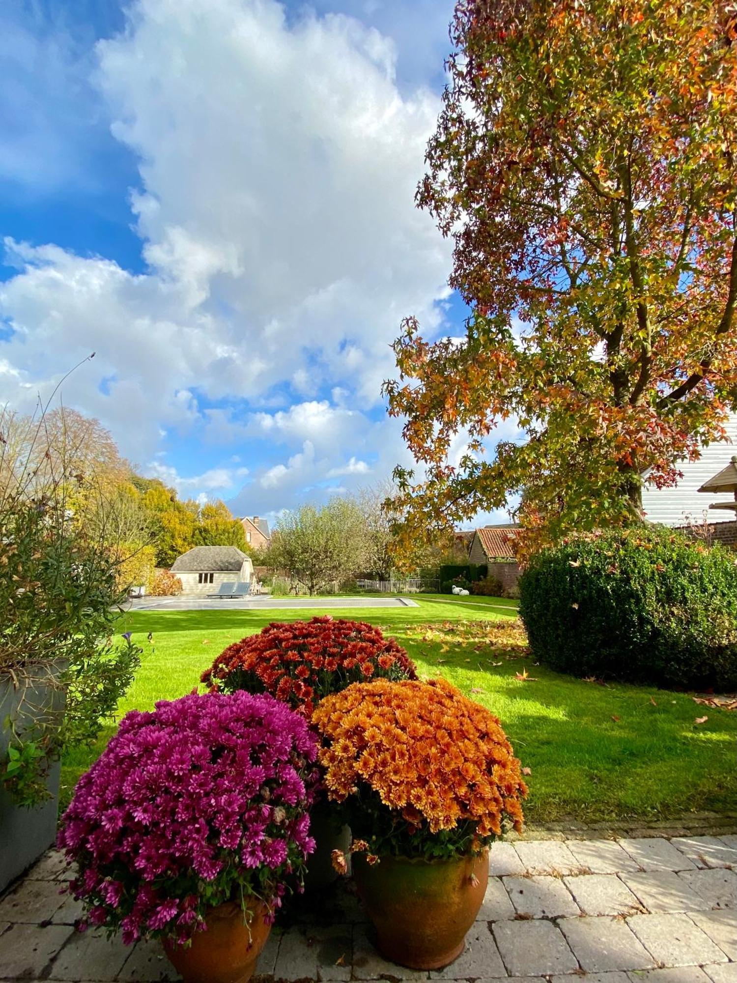 B&B Aline Florentine - Adults Only - Luxury B&B - Chambres D'Hotes - Zimmer Frei Kortenberg Luaran gambar